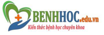 Chuyên Trang Bệnh Học Chuyên Khoa Tham Khảo